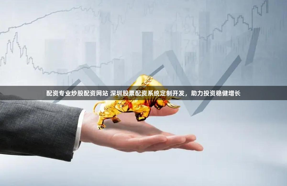 配资专业炒股配资网站 深圳股票配资系统定制开发,助力投资稳健增长