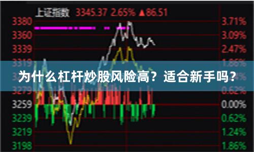 为什么杠杆炒股风险高？适合新手吗？