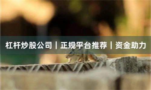 杠杆炒股公司｜正规平台推荐｜资金助力
