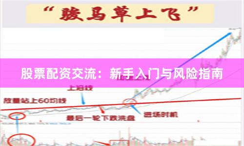 股票配资交流：新手入门与风险指南