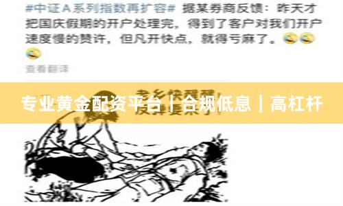 专业黄金配资平台｜合规低息｜高杠杆